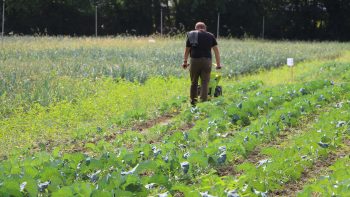 Un volontariat rural, comme le service civique ou militaire?