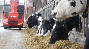 Premiers avis d’éleveurs convaincus par le robot de désilage Aura