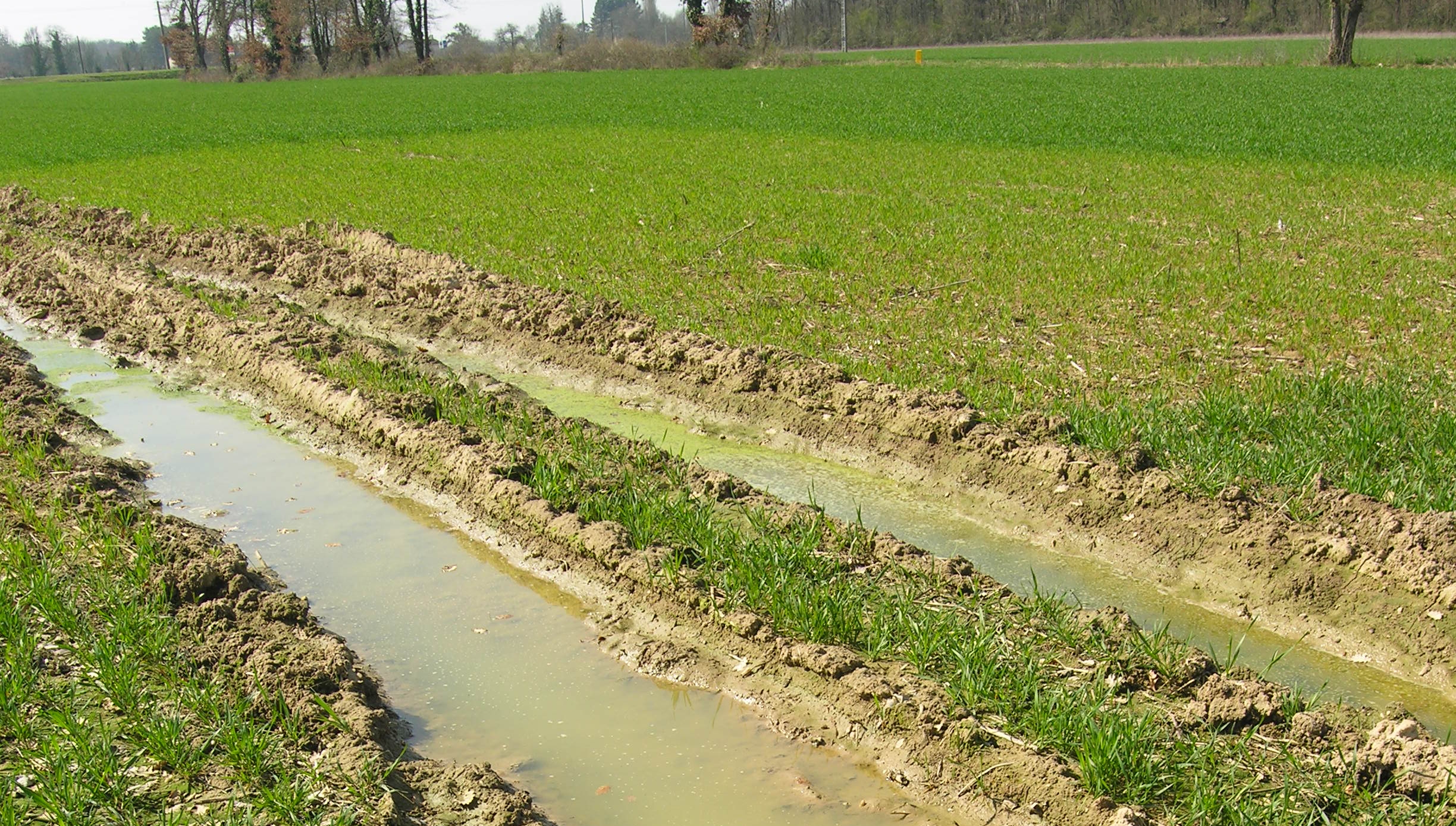  compaction et ornière matériels trop lourds et sol