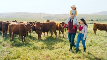 Ce qu’il faut savoir sur la réglementation autour des jours fériés