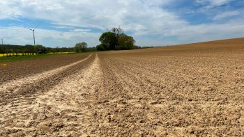 Cultures, « il était temps que le soleil revienne »