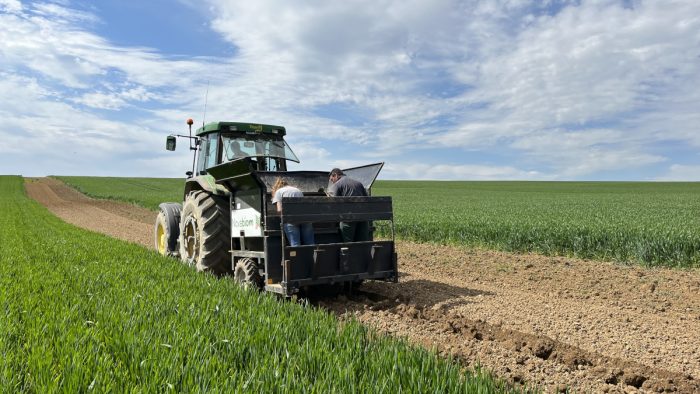 plantation miscanthus pour améliorer. la biodiversité