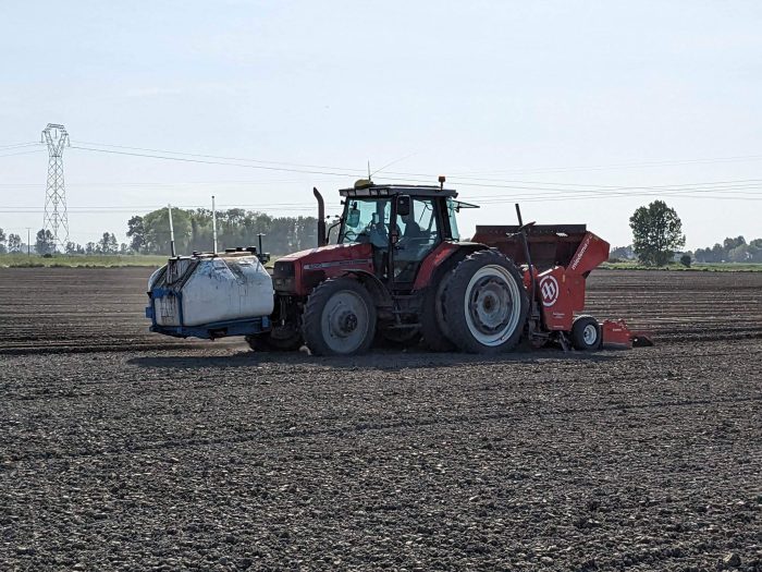 plantation pommes de terre