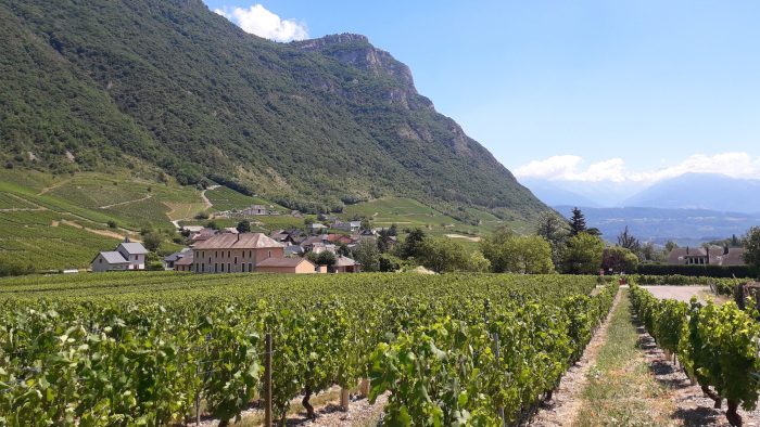 La cuma de Chignin organise régulièrement des évènements autour de la transition agroécologique. 