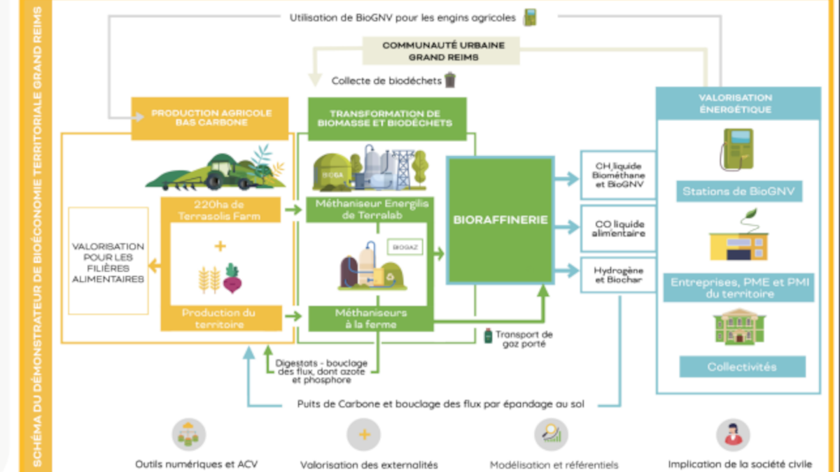 Projet Terrasolis - bioéconomie