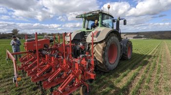 Essais sur le désherbage mécanique du blé bio en Normandie