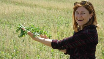 Rencontre entre urbains et agriculteurs, comment rendre la discussion constructive ?