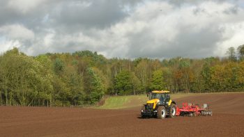 De la cuma intégrale à la cuma à sections