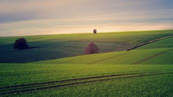 Quels sont les prix des terres agricoles ?