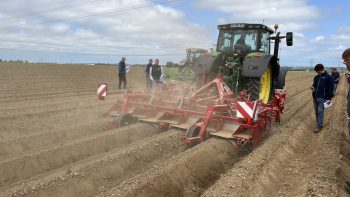 Désherber les pommes de terre par temps sec