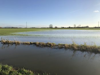 « L’enjeu, c’est que les sols puissent stocker l’eau »