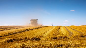 La transition climatique a commencé dans les exploitations françaises