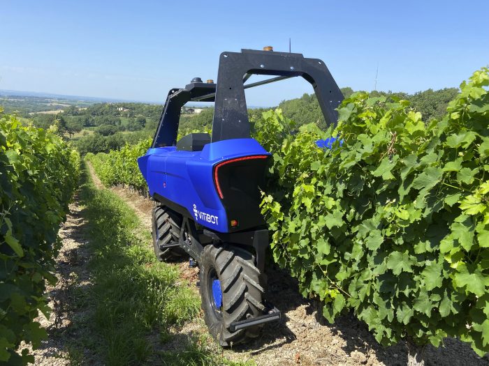 robot Vitibot Bakus au travail