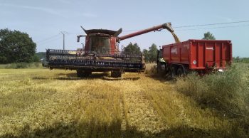 À la moisson, +0,25 à +0,5ha/h avec une coupe repliable à tablier télescopique