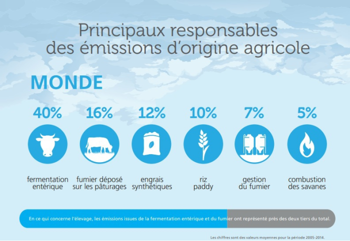 émissions agricoles de gaz à effet de serre