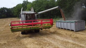 [Avis] Claas Trion 520 : « elle trie bien le grain et la paille est impeccable »