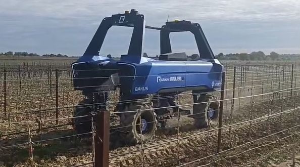 Les robots viticole commencent à être expérimentés dans les cuma en vue d'investir.