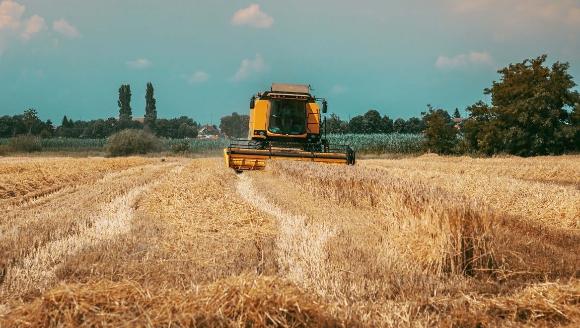 valeur ajoutée agricole