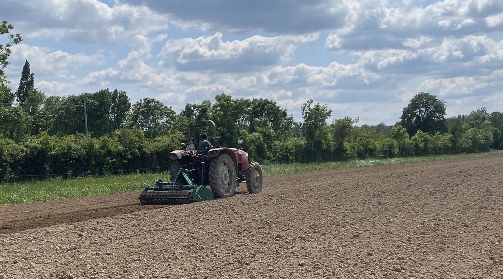 Preparation du terrain pour la mise en place de la betterave