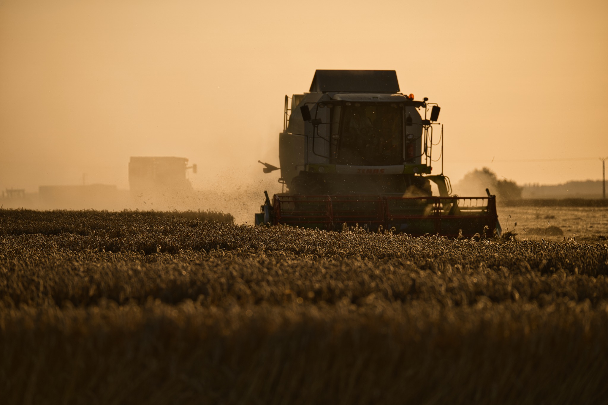 Par Florian "Photo de moisson en contre jour lorsque le soleil commençait à descendre on peut distinguer les tracteurs en attente dans la poussière diffusée par le broyage des pailles"