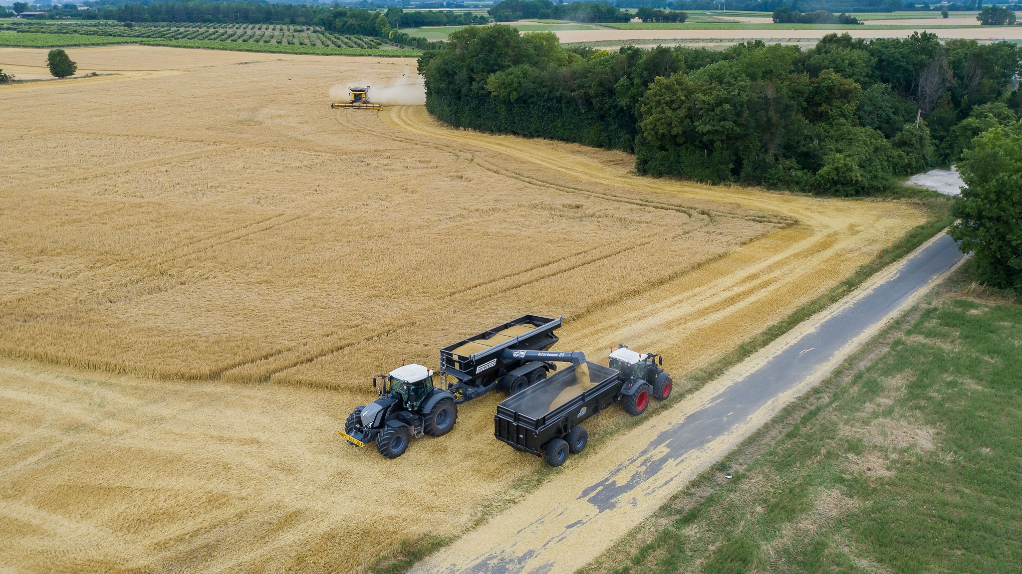 Par Goeffroy "Je viens donner un petit coup de main à la SARL Artaël pour avancer la moisson entre les pluies qui ont bien marqué la moisson 2023 en Charente ! Toute l'équipe est au complet sur cette photo. Paysage qui représente une bonne partie de la Charente avec des parcelles céréalières, des petits bois, de la vigne et même des chênes truffiers."