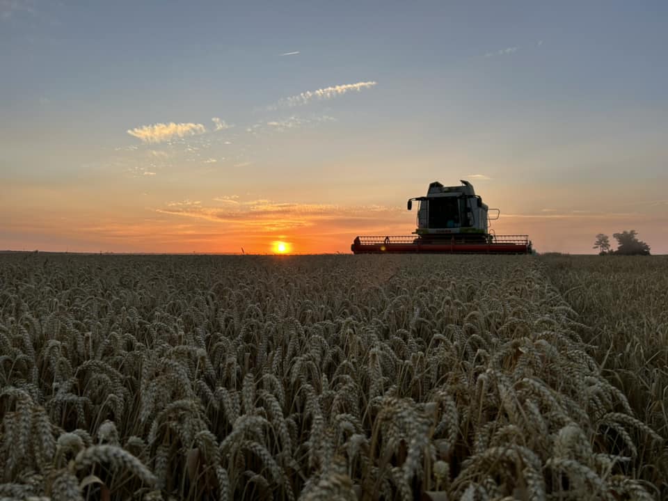 Par Grégoire "Petit coucher de soleil dans les blé"