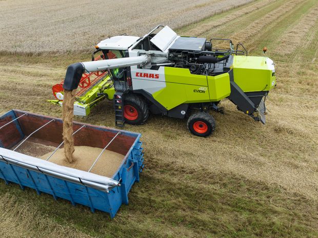 La Claas Evion peut recevoir un cueilleur à maïs jusqu'à 6 rangs.