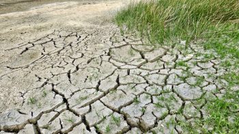 Les agriculteurs s’adaptent au changement climatique… sans vraiment le savoir