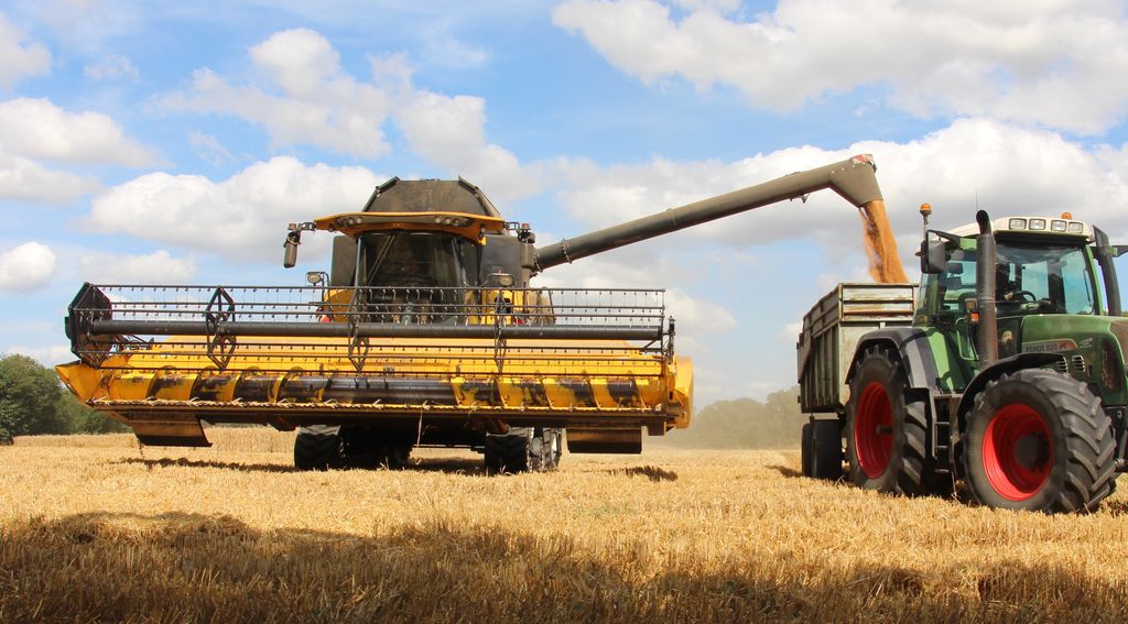 Tracteur avec remorque et animaux sons et lumières Baby Smile | King
