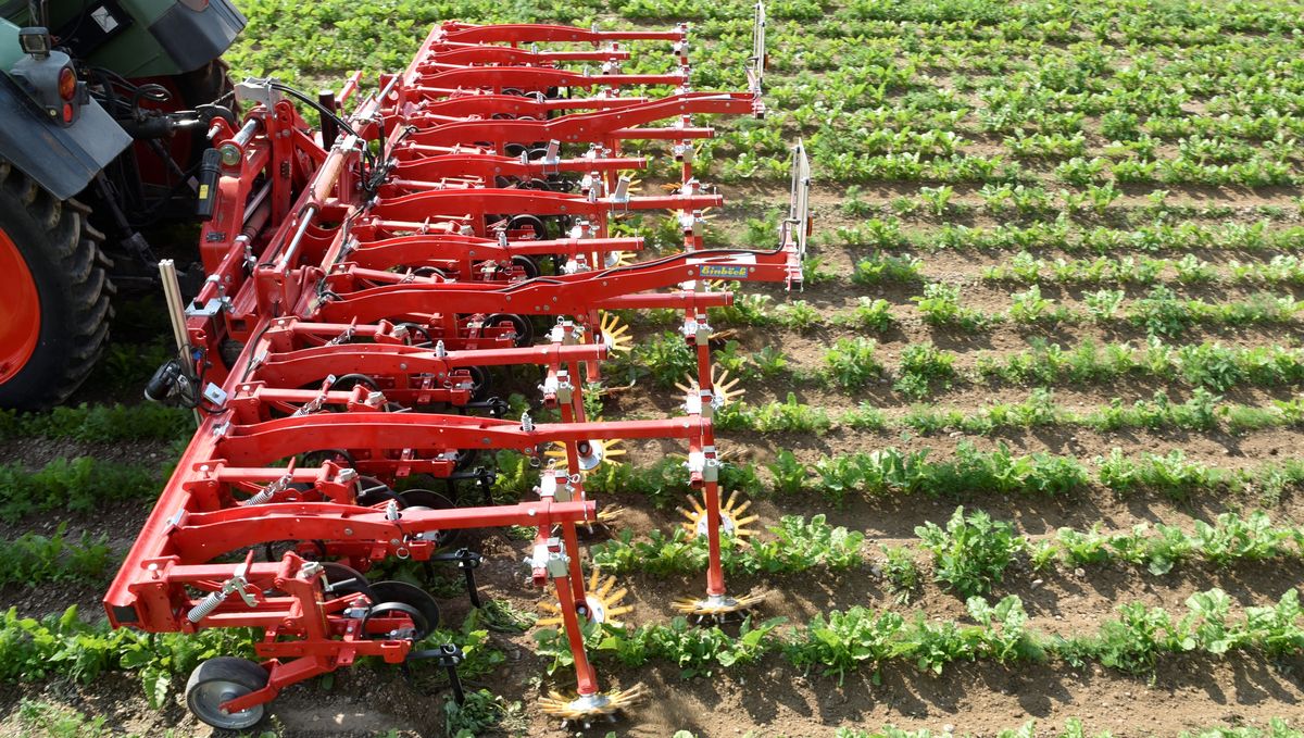 Budget 2024 : l'agriculture pas trop mal lotie