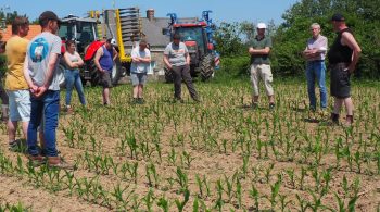 Houe et herse, le GIEE Cotentin désherbage teste et compare