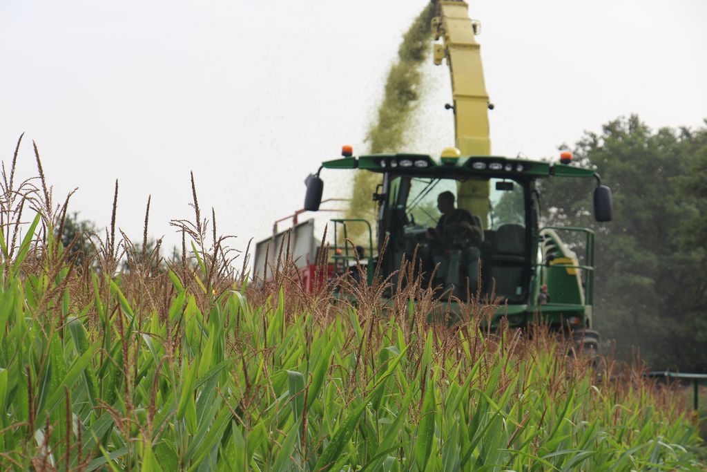 Détourage de parcelle à l'ensilage