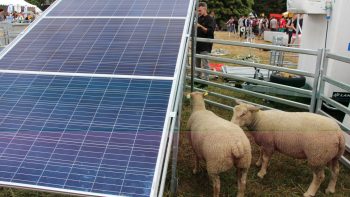 Des projets agrivoltaïques à foison !