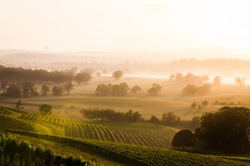 Investir dans un « groupement foncier agricole d’épargnants » ?