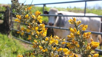 Agribest donne de l’autonomie sur le thème de la biodiversité