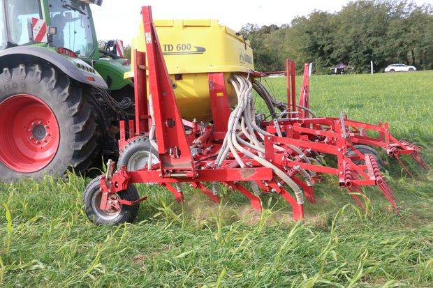 semoirs direct à dents Agirre dans un couvert vivant