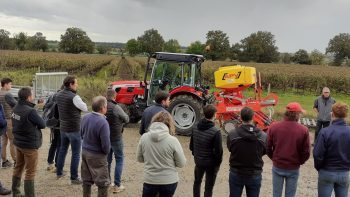 Le constat est positif chez les viticulteurs qui sèment des couverts végétaux