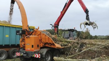 Filière bois déchiqueté : les chantiers et les marchés évoluent