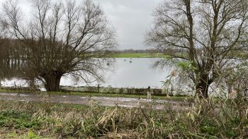 « Il a plu un mois trop tôt »