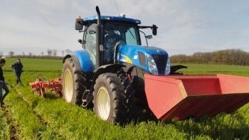 [Essai] Le strip-till pour implanter un tournesol, est-ce que ça marche ?