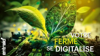 Intelligence artificielle, OAD, dématérialisation : votre ferme se digitalise