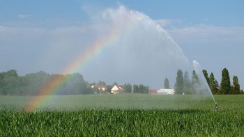 Plan eau : « pollueurs-préleveurs-payeurs »