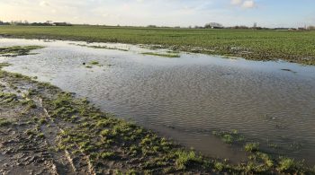 Etat des nappes phréatiques : où en est-on avec les pluies d’automne ?