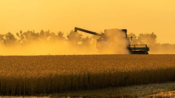 Fertilisation : L'épandeur Sniper de Chevance se décline en double essieu