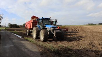 Pommes de terre, encore 1 000 ha à récolter