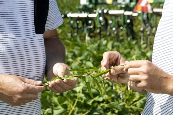 Transmission en agriculture: ne sait-on « plus fabriquer de candidats sérieux »?