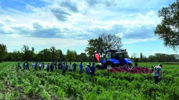 Strip-till : des bénéfices intéressants