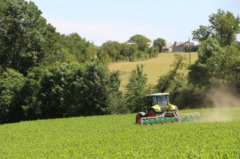 Des haies qui rapportent grâce au bois et plus encore