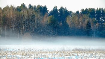 Un peu de bioclimatologie