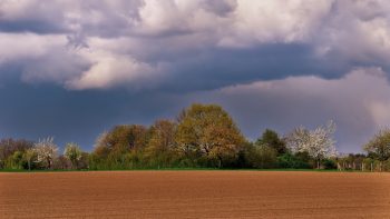 Les agriculteurs, tous accros à la météo ?